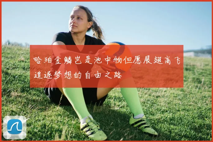 哈珀金鳞岂是池中物但愿展翅高飞追逐梦想的自由之路
