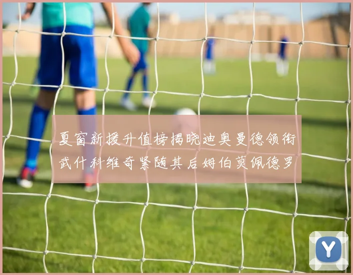 夏窗新援升值榜揭晓迪奥曼德领衔武什科维奇紧随其后姆伯莫佩德罗表现抢眼